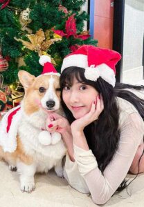 เบียร์-เดอะวอยซ์