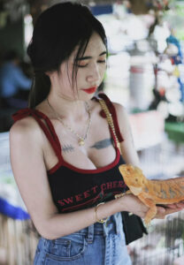 วา-เซฮาย-ใสใส